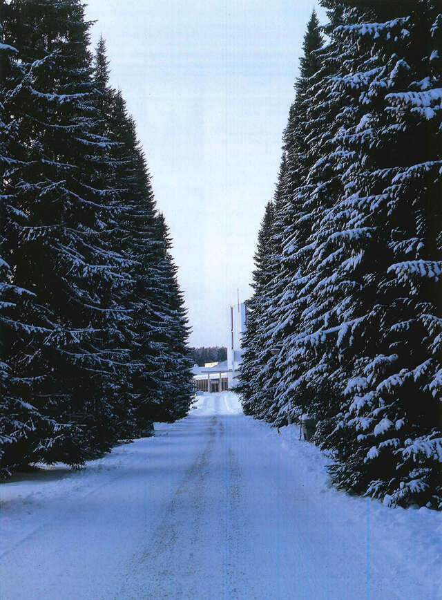 View along the spruce-lined avenue towards the chapel.