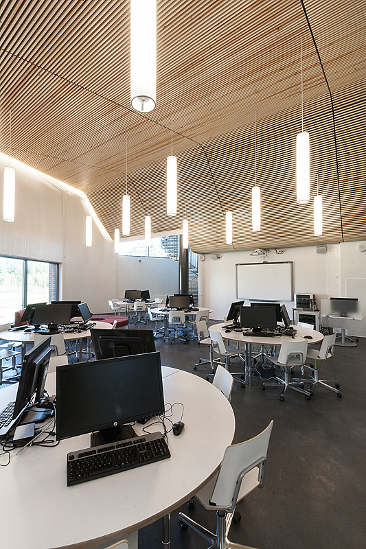 Interior of working area with hanging lights and curvy wooden ceiling