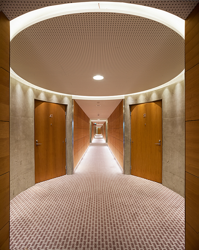 Hallway interior with carpeting, wooden doors both sides and dome light