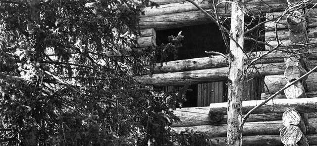 Facade and with unhewn logs cut at different lengths in the corners.