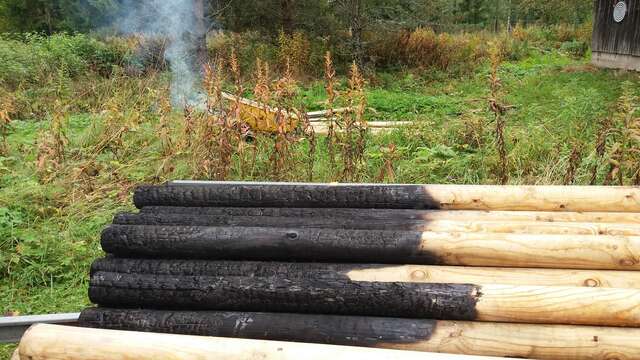 Half-burnt wooden logs in a pile.