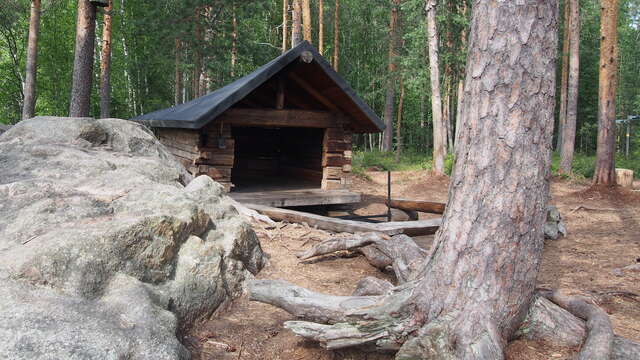 Small wooden shelter in the middle of the woods.