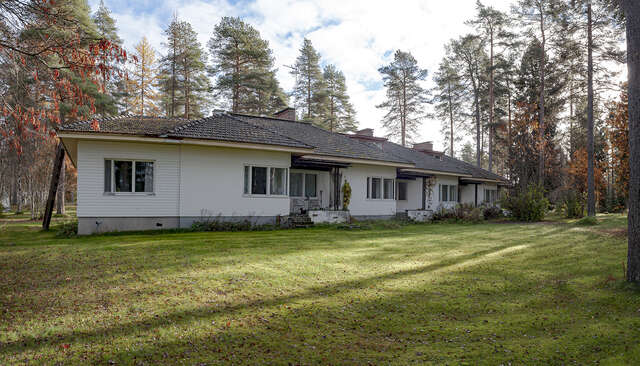 Pitched-roof houses surrounded by a grass field and pine trees.