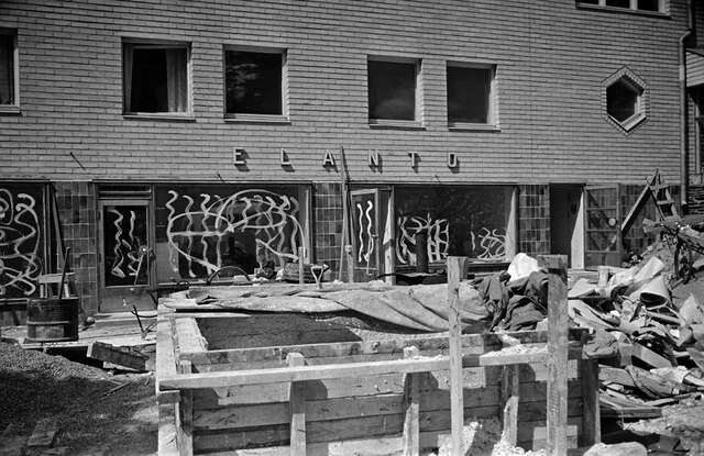 Construction of the complex