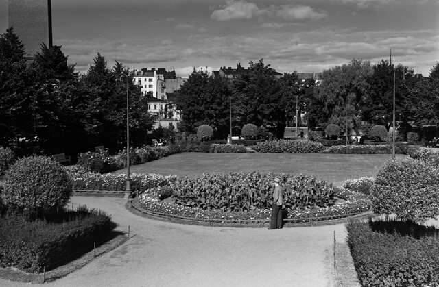 A man standing in front of a flowerbed in the park.