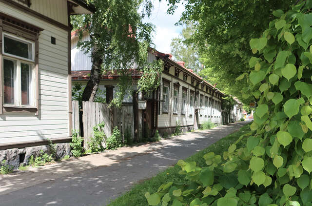 Row of low, old and white wooden houses, vegetation.