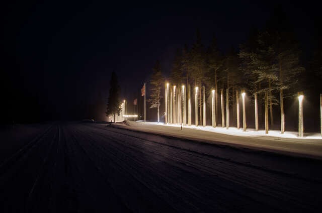 Light poles in the dark