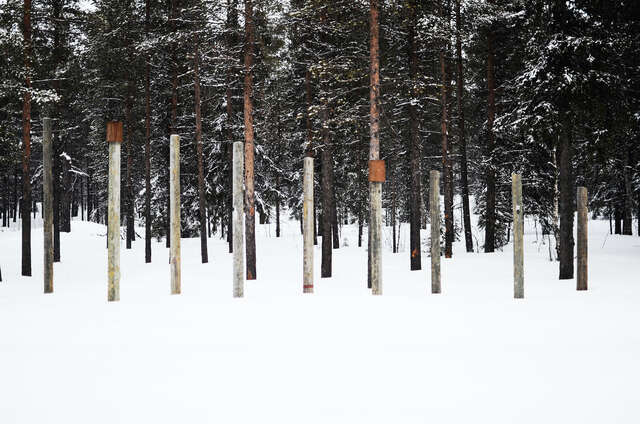 Wooden poles in a snowy forest.