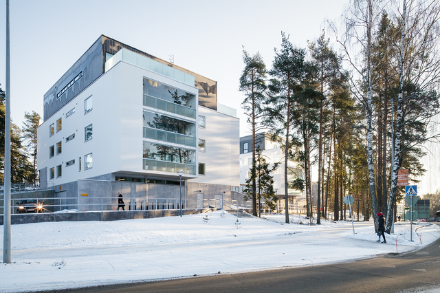 White building next to pine trees.