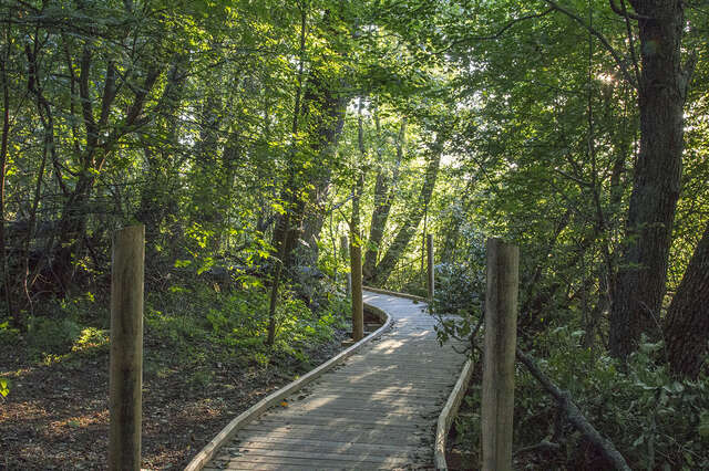 Lammassaari Boardwalk