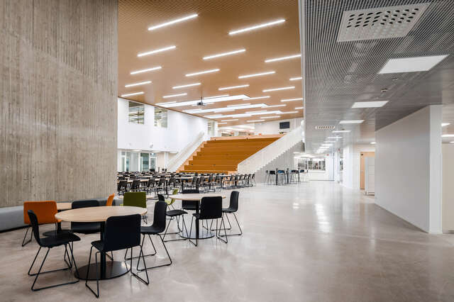 Interior space with a bare concrete wall, auditorium-like stairs in the background