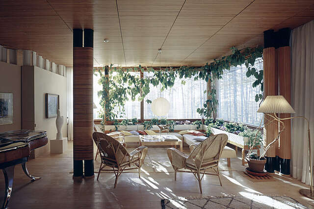 Inviting living room with plants growing along the windows.