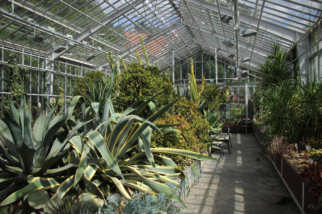 Plants inside the winter garden.