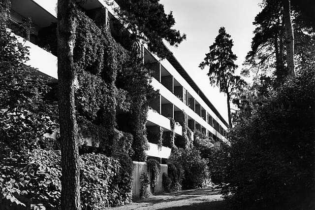 Back of and apartment building wit white balconies that are overgrown by plants.