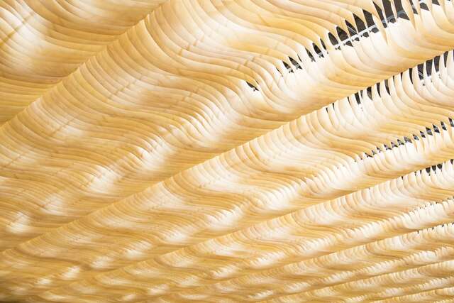 Light installation made of curved wood panels.