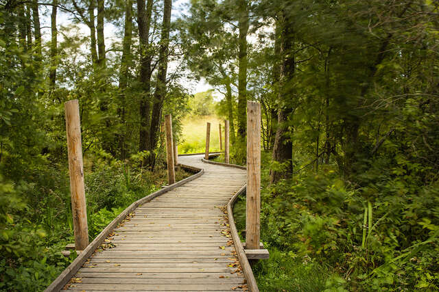 Lammassaari Boardwalk