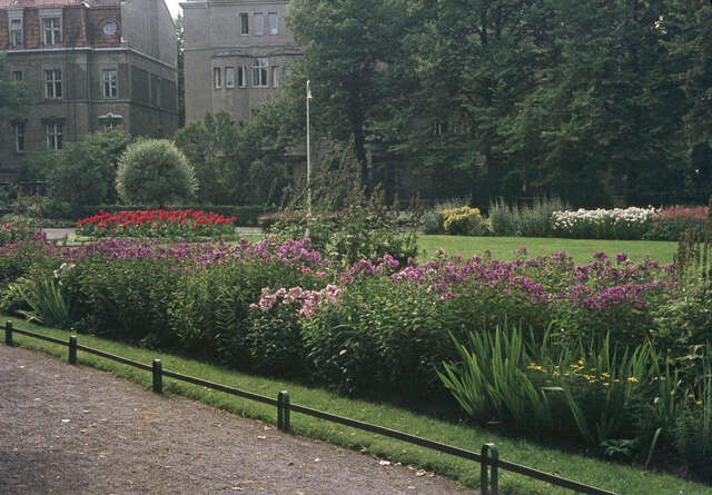Flowerbed in the park.