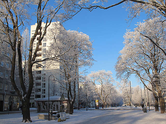 Park with snowy trees, a tall white building in the background on a sunny winter day.