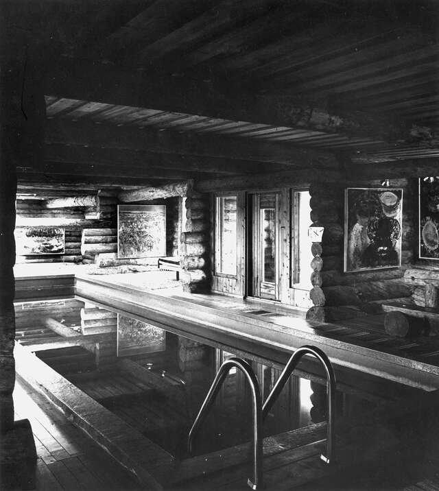 Swimming pool in a log building with paintings on the walls.