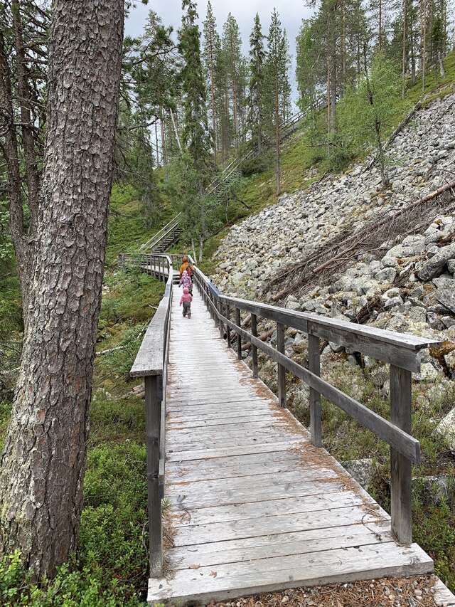 Wooden walkway with handrails cuts through a grassy forest.