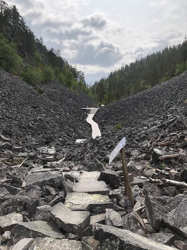 Rocky hills and a forest with a small walkway in the middle.