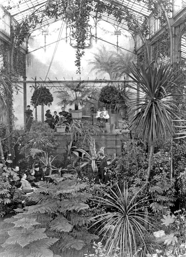 Old black and white picture of people in an overgrown garden.