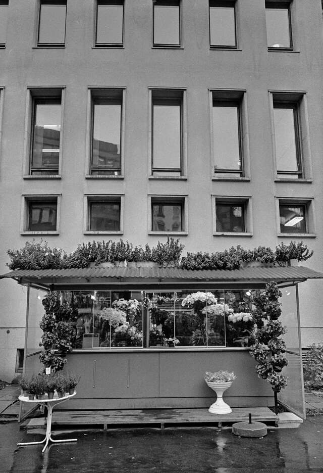 Metsätalo Harri Ahola HKM