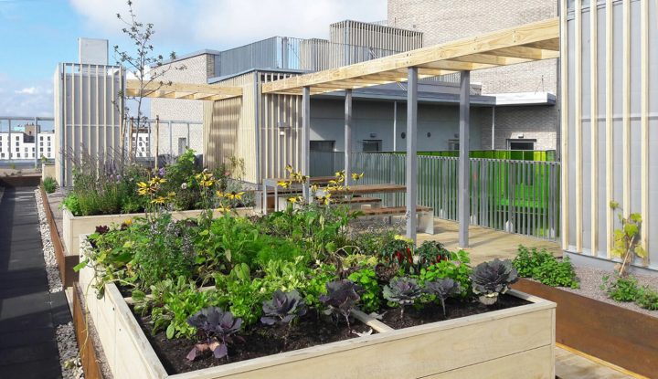 Rooftop kitchen garden, The Greenest Block of Flats