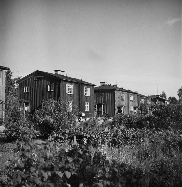 Pohjolankatu wooden houses and allotments in 1949, Puu-Käpylä Wooden House Area