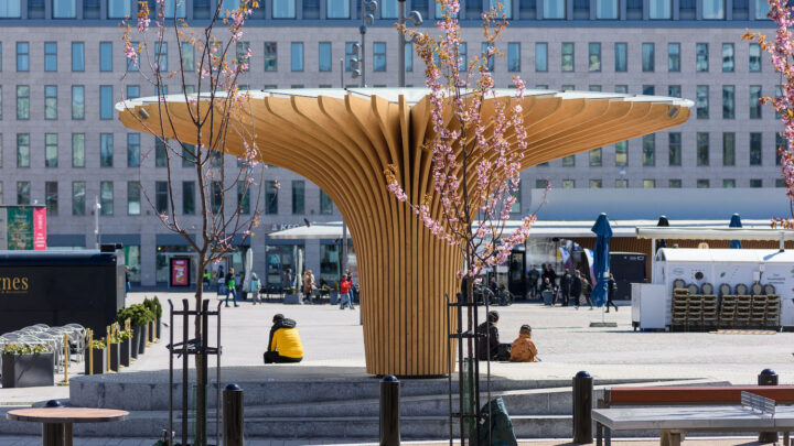 Chanterelle sculpture, Turku Market Square