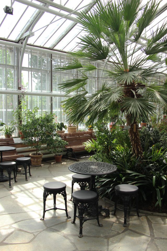 The interior, Winter Garden