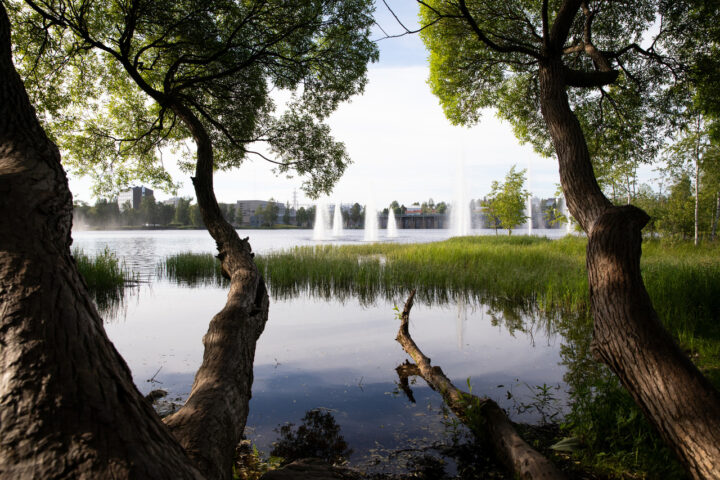 Ainola park in summer 2019, Koskikeskus Landscape and Urban Plan